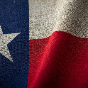 Texas Flag