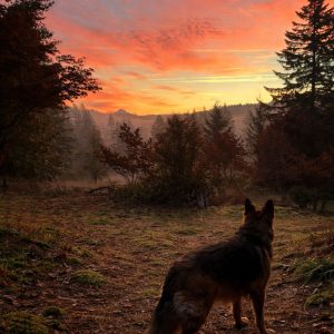 Mercy in the Morning